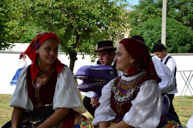 DSC_0429 (Medium).JPG